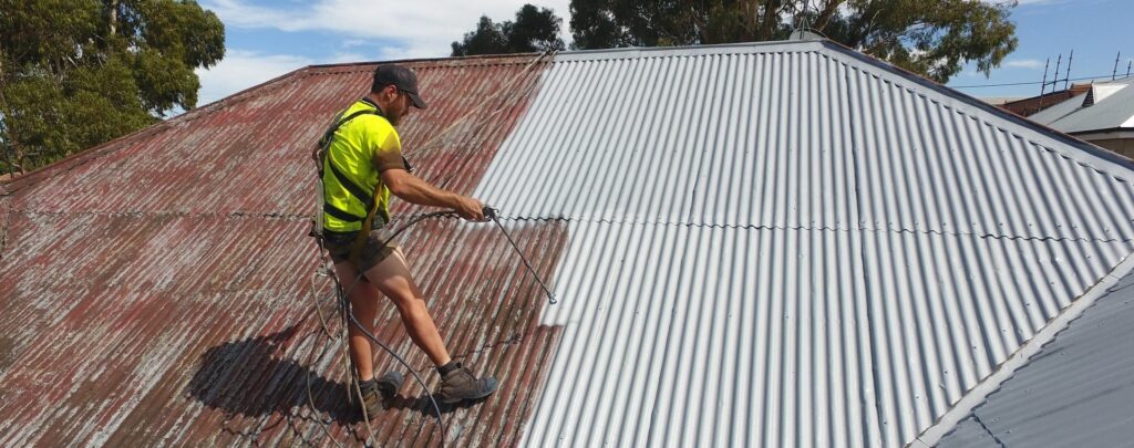 Roof Paint