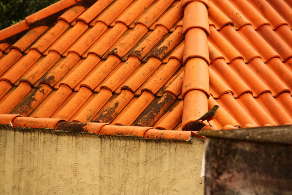 roof repair